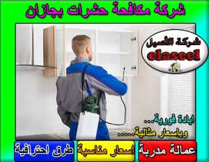 شركة مكافحة حشرات بجازان