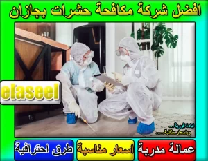 شركة مكافحة حشرات بجازان
