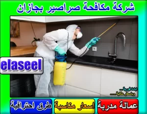 شركة مكافحة حشرات بجازان