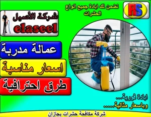 شركة مكافحة حشرات بجازان