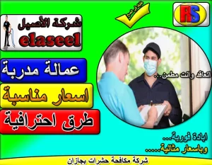 شركة مكافحة حشرات بجازان